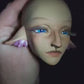 Hierophant Faceup Add-On